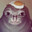 gar avatar
