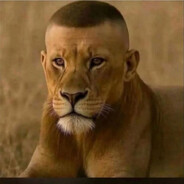 Niki Kelesha - steam id 76561198947892522