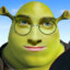 Shrek Potter