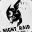 night raid