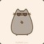 Standin.Pusheen