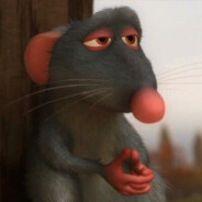 Rat