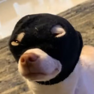 玩家头像