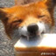 FoxSandwhich