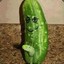 Tickle My Pickle