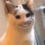 Mozzav