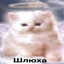 8471