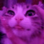 Em