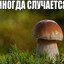 sigmaгой