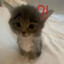 Liker06