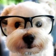 纽布里奇盖斯特