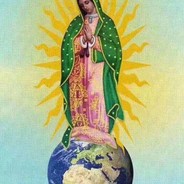 Stop war with war (´°ω°`)↯