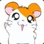 Hamtaro