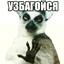 блинк в альтуху2004's avatar