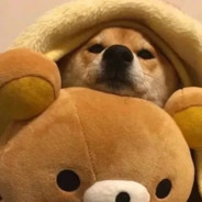 我是麦当劳大王