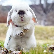 Big Avatar