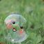 Bubble