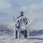 KataFalk_873