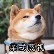 你好_我是一只汪