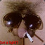 Dick Shadez
