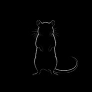 ratzz