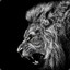 Hakuna Matata rustchance.com