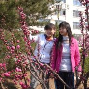 在下退出棋坛！