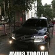 ДУША ТРОЛЯ