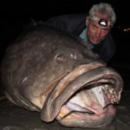 Jeremy Wade