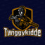 Twiggykidde