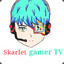 Skarfar Gamer TV