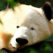 小黄书的电磁炮