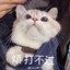 carthy丶清茶