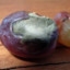 Mouldy Grape