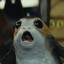 Paul The Porg
