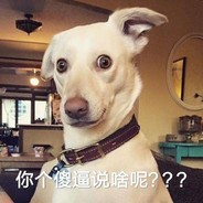 垫底狙神发一把