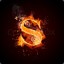 `S`hkolota (csgowd.net)