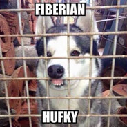 Fiberian Hufky