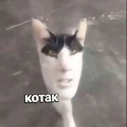 ℂ ℍ ℕ ℙ ℚ ℝ ℤ