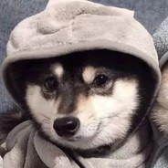 小帮手不会骗人