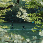 今年秋天风刮月