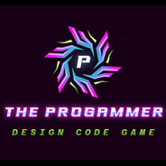 The_Progammer1