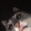 xmadziaxx