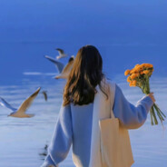 海城精修马老板