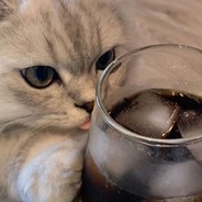 淘宝搜索东辰小号铺子