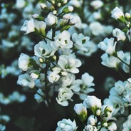 учитель истории