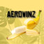 AerowinzAc