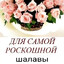 Влад is Лав