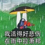 皮城警备局局长