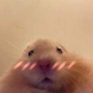 Daniel - steam id 76561199016304236